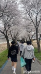 보은중학교, 보청천 생태체험-환경 보전활동 실시