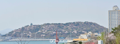 [국제포토] 월미공원의 사계 & 봄