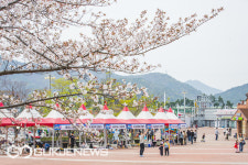 벚꽃엔딩 아쉽다면...렛츠런파크 부산경남으로