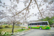 벚꽃엔딩 아쉽다면...렛츠런파크 부산경남으로