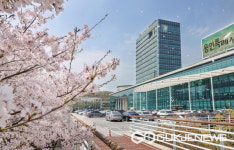 용인시, 제44회 장애인의 날 행사 개최