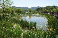 거창창포원, 거창군 산림관광 200만 시대 첫 퍼즐 완성 중