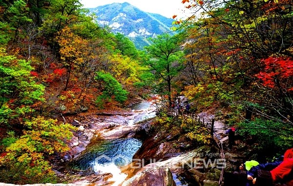 경북 영덕 산불감시원 60대 A씨, 숨진 채 발견…산불로 사망자 27명