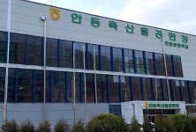 이철우 도지사, 안동축산물공판장... 전국 축산물 유통시장의 중심이 될 것