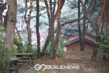 여주, 숲을 그리다 피톤치드로 가득한 힐링테마파크