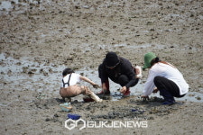[정남진키조개축제포토] 바지락캐기 체험