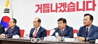 발언하는 정점식 정책위의장