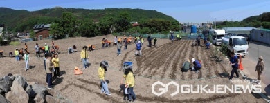 대구시 달서구, 수밭골 루나꽃길조성 위해 해바라기 심기 행사 개최