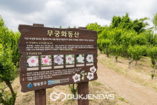 정원도시 영등포구, 여의도 한강공원에 무궁화정원조성