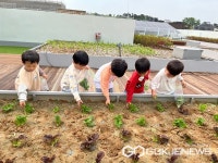 청주 오송솔미유치원, 옥상 친환경 생태체험 실시