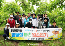 대창면-오길리-P224723064662 | 영천시청 직원들, 농촌 일손돕기에 구슬땀!
