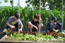보은 세중초등학교, 사제동행 가든파티 개최
