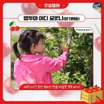 자연의 멋 과 농촌의 맛을 전하는 양양 명지리 앵두축제