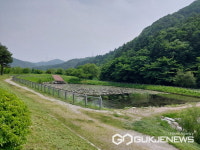 용인시, 반딧불이 서식처 복원 앞서 식생 환경 조사