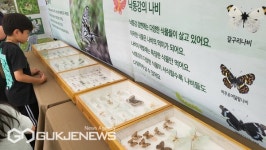 부산 북구, 가족과 함께하는 낙동강 생태체험 한마당