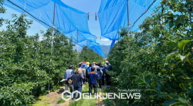 영주시농업기술센터, 이상기후 관련 현장 애로 기술 해결에 박차