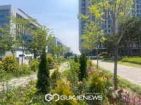 강서구, 도심 곳곳에서 만나는 매력정원의 싱그러움