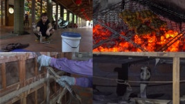 극한직업 베트남 뱀 코스요리·코브라 양식장 공개