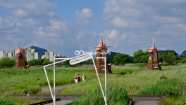 [국제포토] 나들이가 즐거운 소래습지생태공원
