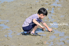 [국제포토] 꿈나무의 갯벌 호기심