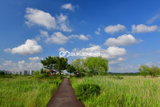 [국제포토] 레츠고 썸머