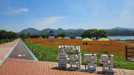 남양주시 북한강변 물의정원 꽃 양귀비 감상 하세요!