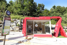 동작구 사당로 육교·정류장, 개통 200일만에 10만 명 돌파