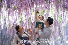 가평베고니아새정원, 아프리카펭귄과 히야신스 마카우 합사 시작