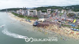 보령시, 대천해수욕장 개장기간 반려견 출입구역 운영