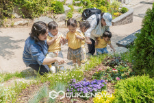 양천구, 지양산 1.26km 순환형 무장애 숲길 완성