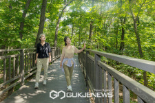양천구, 지양산 1.26km 순환형 무장애 숲길 완성