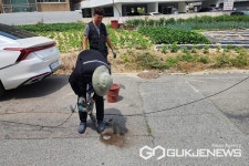 진천군, 광혜원면 여성 안심 시설물 설치