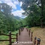 [포토] 명지폭포로 가는 데크 탐방로