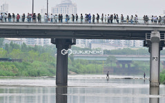 [국제포토] 안양천변 & 장맛비 우수