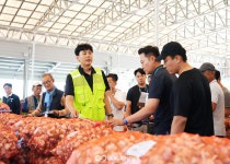 영천한방·마늘산업특구, 7월1일 경북 최초 마늘 경매 시작