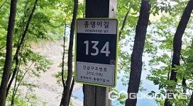 충주시, 종댕이길 도로명 부여 기초번호판 27개 설치