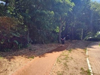 청주시, 2억원 들여 금천배수지공원 황토체험공간 조성