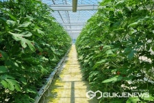 진천군, 과학영농 도농복합 도시 자리매김