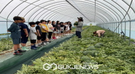 도촌초, 교육공동체 수박 농장 체험학습 실시!