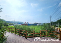 용인시, 도심 속 공터 산책로 품은 친환경 힐링 쉼터로 탈바꿈