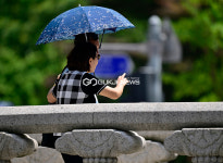 [국제포토] 초복, 양산 밖은 30도