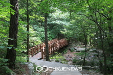 보령시, 성주산자연휴양림 여름성수기 운영 시작