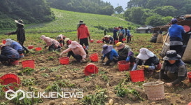 봉화 골든에그, 황금알을 낳다