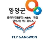플라이강원(주) M＆A 확정...양양군 재정지원금반환채권  20억원 전액 변제 받는다