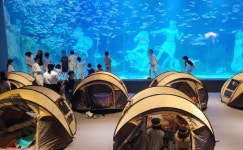 대전관광공사, 사이언스 나이트 캠프 참가자 모집