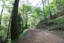 광양시, 백운산자연휴양림 숲해설 특별프로그램 운영