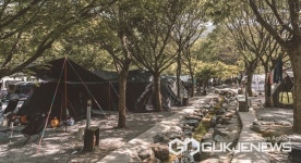 하동군, 여름 휴가철 지금 방문하면 더 좋은 핫플 11곳 소개