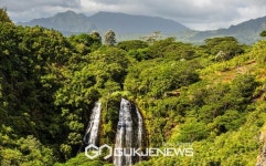 [GJ포토] 하와이 오파에카아 폭포