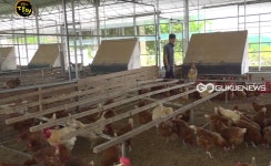 생활의 달인 국보급 달걀·유정란 달인 양계장 위치는?