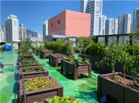 동래구 부산자유학교, 부산시 주관 도시농업 시민텃밭 왕 수상